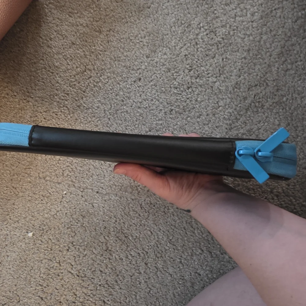 Nintendo Switch Black and Blue Carrying Case